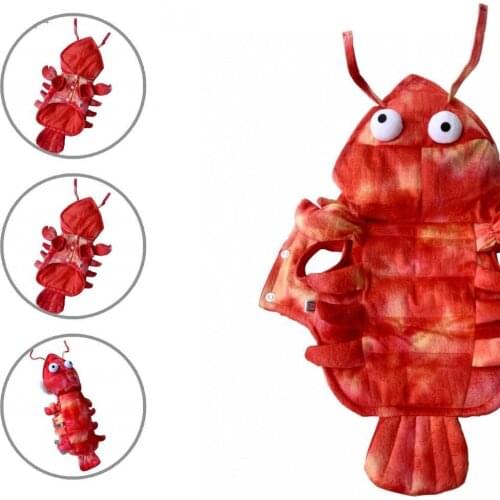 Windproof Fashion Two-legged Cat Dog Costume for Puppy Pet Coat Windproof Fashion Two-legged Cat Dog Costume for Puppy