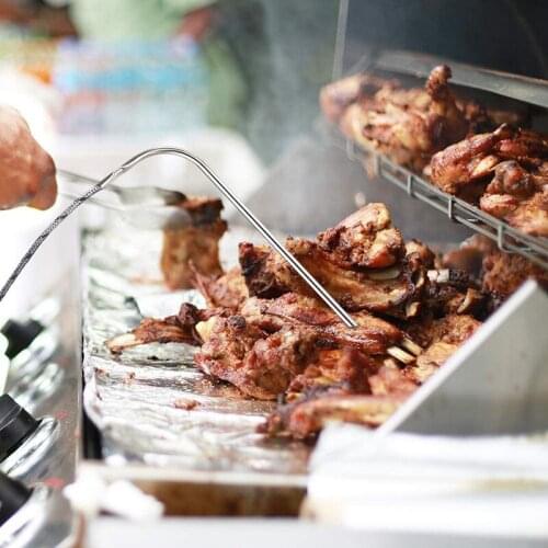 2 Pcs Replacement Waterproof Meat Probe Compatible for Traeger BBQ Grills 3.5 mm Plug Meat BBQ Digital Thermostat Probes