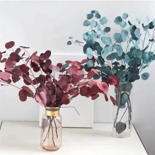 100g Artificial Eucalyptus Leaves Centerpiece Dried Flowers DIY Home Decoration Preserved Plant Wedding Living Indie Room Decor