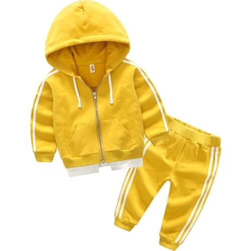2020 autumn boy girl clothes sets nice Pure cotton kids Hoodie+Haren pants Suit 2 piece toddler sports clothes Children clothes