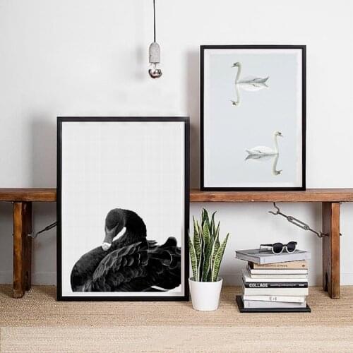Modern Swan Wall Art Canvas Print and Poster , Black Swan Art Canvas Painting Wall Picture Home Room Nature Wall Decor