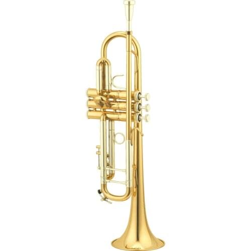 High Grade Gold lacquer classic structure trumpet