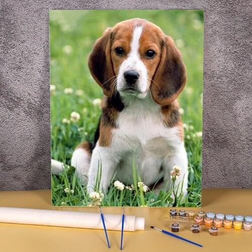 Animal Dog Beagle DIY Paint By Numbers Complete Kit Oil Paints 40*50 Oil Painting Home Decor Children Handicraft Drawing