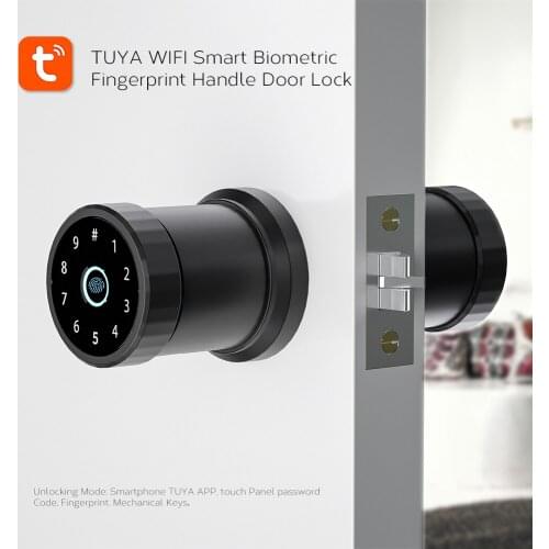 Eseye Double-Sided Fingerprint Door Lock WIFI Electronic Smart Electronic Password Tuya APP Smart Life Metal Gate Hotel