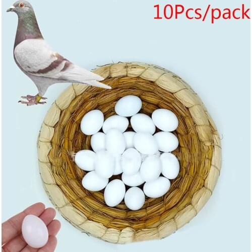 10PCS/lot Fake Eggs Plastic Pigeon Egg Solid Pigeon Fake Egg Pigeon Hatching Supplies