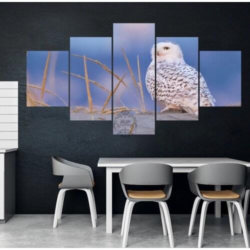 5 Piece Decorative Painting Poster New Fashion Office Home Mural Snowy Owl Animal Landscape Painting Fanxin Wholesale
