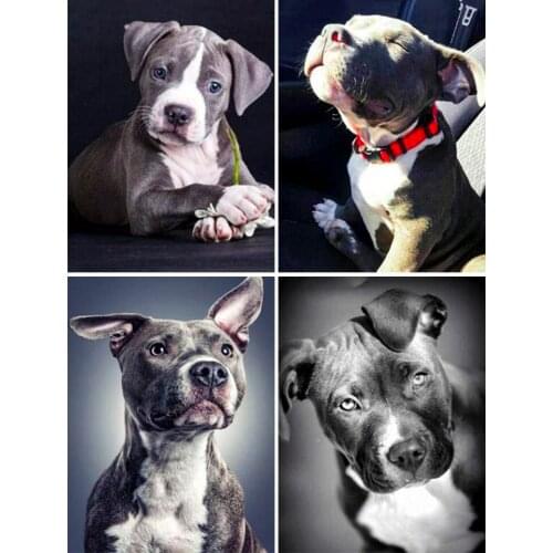 5D Diamond Painting Animal Dog Cross Stitch Kit Full Drill Square Embroidery Mosaic Art Picture of Rhinestones Home Decoration