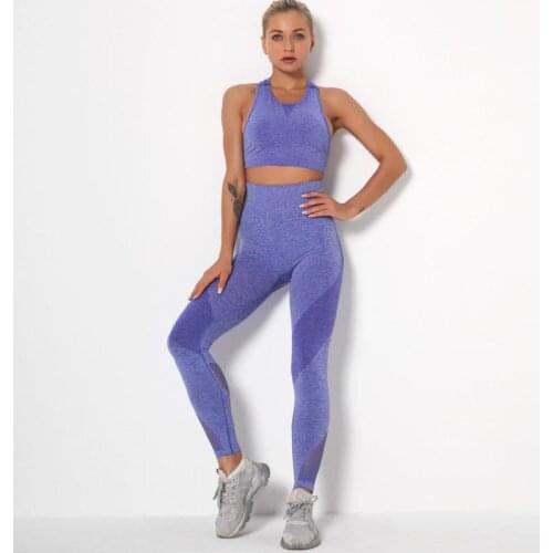 Seamless Mesh Sports Gym Workout Running Yoga Suit Fitness Bra Leggings Sets Training Womens Outfit Tracksuit