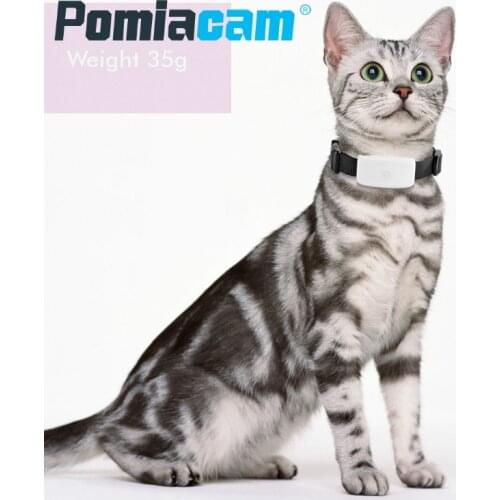 TK911 Mini Pet Kids GPS Tracker TKSTAR TK 911 for dogs cats kids GPS+GSM+WIFI Locatoin ,No gift box, tracking dog