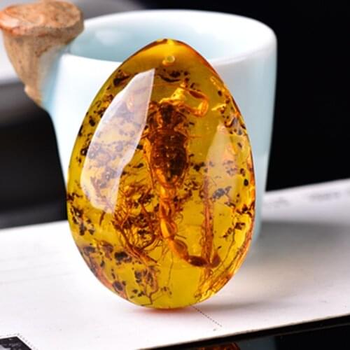 Scorpion Amber Necklace Pendant Men Women Fashion Charms Jewellery Natural Baltic Amber Necklaces Amulet Gift Jewelry Accessorie
