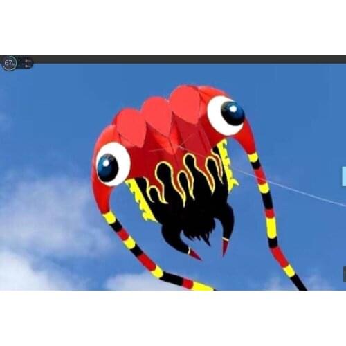 Big kites for adults single line kite ripstop nylon fabric vliegers flying kite weather vane trilobite kite soft pulpo windsock