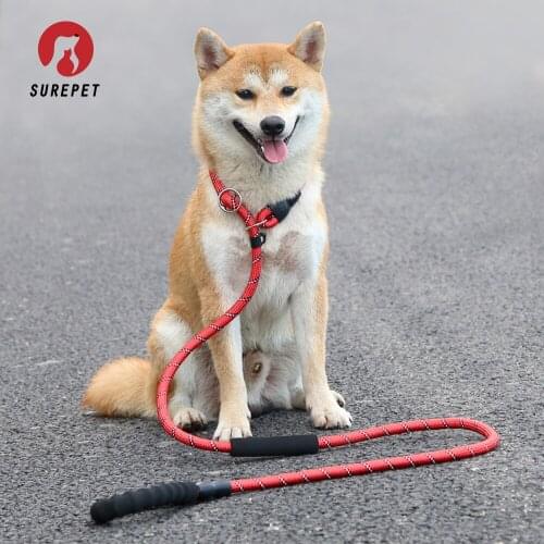 Durable Nylon Dog harness Color 1.8M Pet Dog Leash Walking Training Leash Cats Dogs Leashes Strap Dog Belt Rope