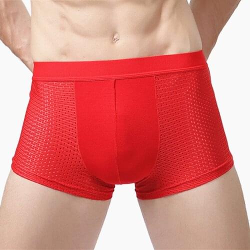 2pcs 4XL Plus Size Bamboo Men Underwear Breathable Modal Panties Male Underpants Man Sexy Mens Boxer Shorts Gray Mesh Boxers