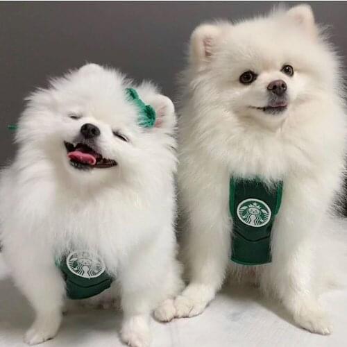 Dog Vest Clothes Ropa Perro Para Cat Puppy Costume Summer Harness Yorkshire Designer Cute Halloween Cosplay Cartoon Bibs Apron