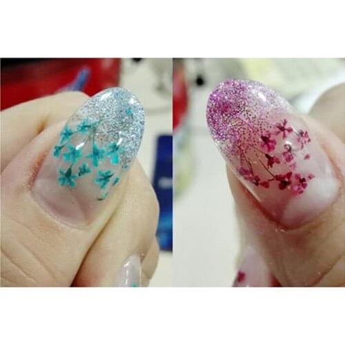 12 Color/box Nail Art Real Natural Petal Dried Dry Flower Tips 3D Wheel Decoration Nail Jewelry For UV Gel Beauty Manicure Tools