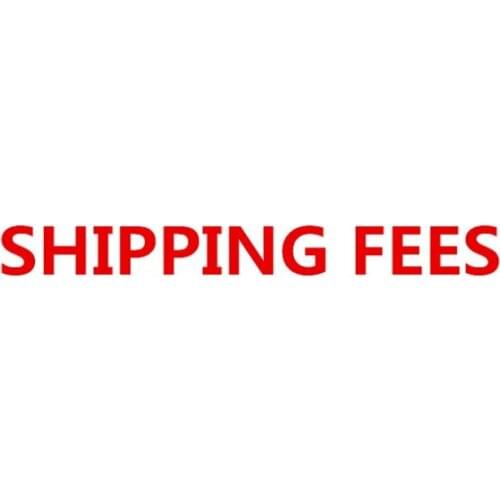 Extra fee and shipping fee