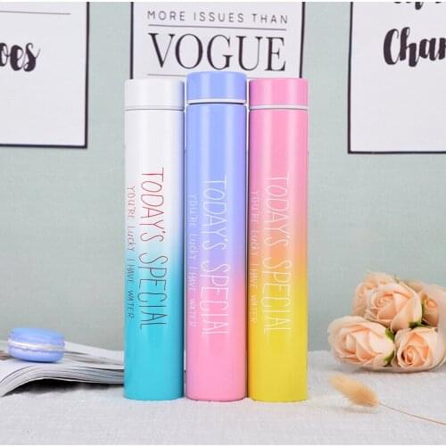 3 Style gradient ramp Water chilly Bottle vacuum coffee Tea flask thermos For Travel Summer Vacuum Flasks Wolf Thermos swig cup