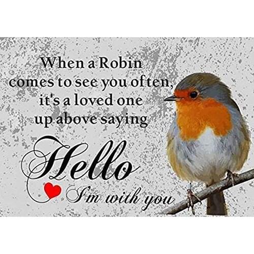 Metal Wall Sign When A Robin Comes To See You Often Its A Loved One Up Above Saying Home Interior Decoration Retro Metal Sign