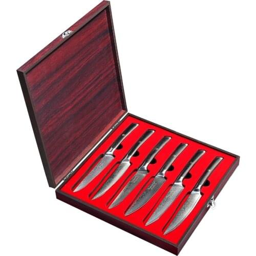SUNNECKO 6PCS 5" inch Steak Kitchen Knife Gift Box Set Japanese 73-Layer Damascus VG10 Steel Sharp Blade G10 Handle Cutting Tool