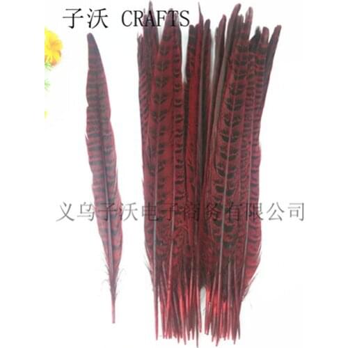 2017 Hot! blue 50pcs / lot natural Pheasants feathers, 12-14 "/ 30-35cm DIY jewelry, art performances props Accessories