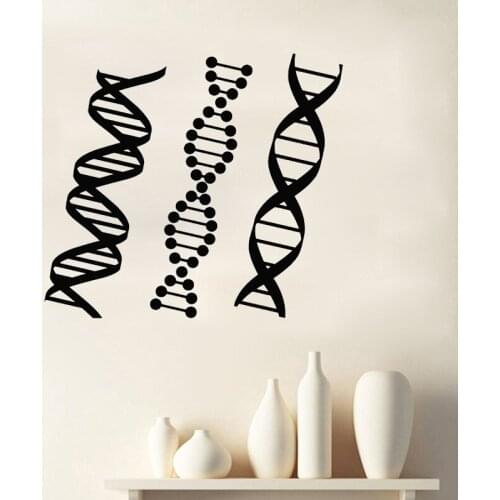 DNA Genealogy Wall Sticker Biology Chemistry Decal School Science Class Decoration Home Decor Bedroom Mural Poster