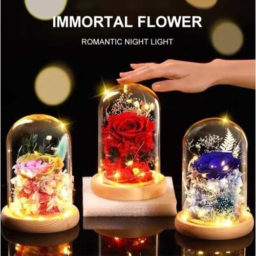LED Galaxy Rose Eternal Flower Night Light Rose Flower Glass Cover Home Decor Ornaments Birthday Mothers Valentines Day Gift