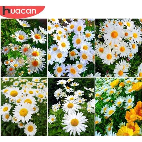 HUACAN Painting By Number Daisy Kits Handpainted DIY Picture By Number Flower Home Decoration Drawing On Canvas Gift
