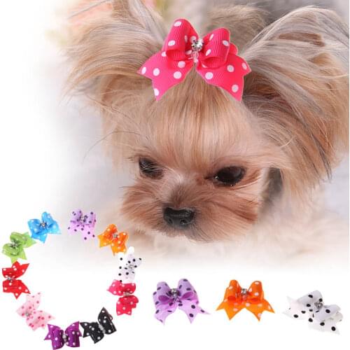 10pcs/Set Pet Cat Dog Small Puppy Pet Dog Rhinestone Hairpin Hair Bow Rubber Bands Grooming Small Puppy Cats Clips Accessories