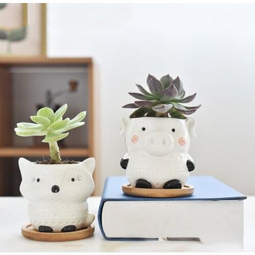 Cartoon Animal Fleshy Flower Pot Nordic Gardening Lovely Cat Combination Ceramic Green Plant Flower Mini Potted Office Ornament