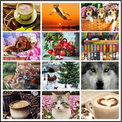 Diamond Painting Still Life Red Apple Springer British Short Cat Labrador Black Cat Coffee Cup Wolf Color Oil Painting Decor