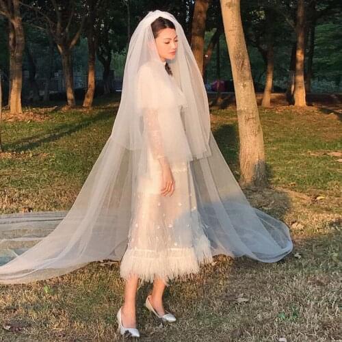 Plain Gauze Bridal Headdress Simple Puffiness, Lengthened and Trailing Wedding Veil, Double Mask, Travel and Beat Veil