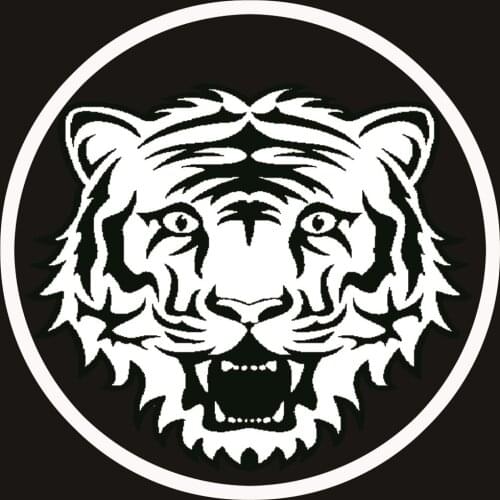 Tiger With Glow In Dark Diy Diamond Painting Rhinestones Diamond Mosaic Cute Animal Home Decor Glow In Dark Stone Animals Tigers