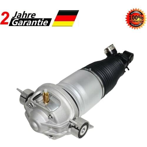 AP01 New Rear Left Air Suspension Strut For Audi Q7 Porsche Cayenne VW Touareg 95535850321