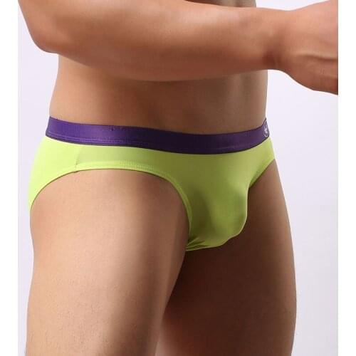Brand Brave Person Men gay Briefs Sexy Underwear Briefs Low Waist Underpants Nylon Men Bikini ropa interior de hombre