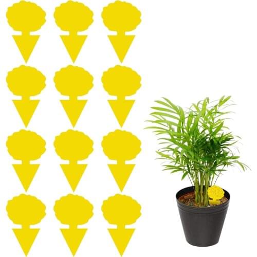 12 Pack Sticky Trap, Fruit Fly and Fungus Gnat Trap Killer Indoor and Outdoor, Protect The Plant, Non-Toxic and Odorles#891211