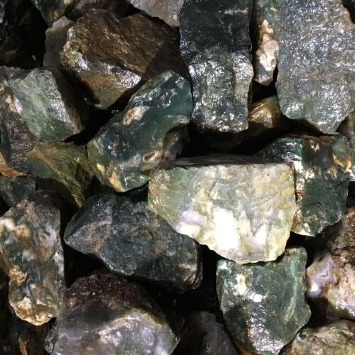 Natural Aquatic Plants Mineral Specimen Rough Agate for Collection Jewelry Processing