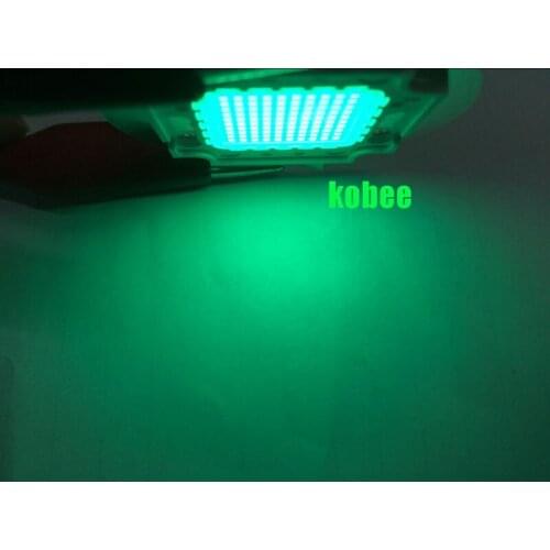 CHTPON High Power LED Chip100W Cyan COB LED Beads Bulb 490nm Epileds for DIY LED Floodlight Spotlight