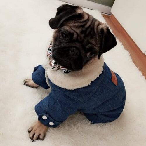 Denim Puppy Dog Jacket Winter Warm Pet Clothes for Small Dogs Yorkshire Pug Coats High Fur Collar Dog Outfit Pets Dogs Clothing