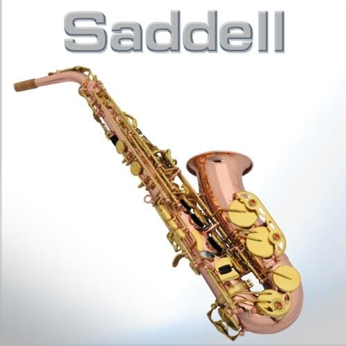 Professional Eb Saxophone Sax With Carry Case Gloves Sax Neck Straps Accessories