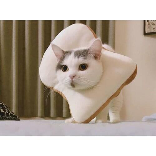 Funny pet head cover, Elizabeth circle toast, shape decoration, funny pet products, cat head cover