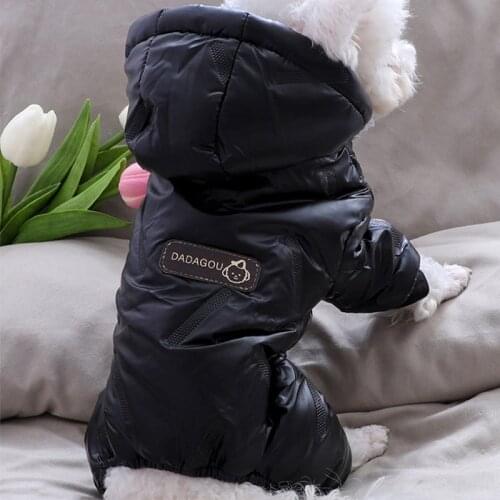 Haryou Clothes And Footwear For Dogs