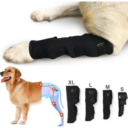 2Pcs/lot Pet Knee Pads Dog Support Brace for Leg Hock Joint Wrap Breathable Injury Recover Legs Dog Protector Support