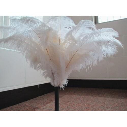 Wholesale 20 pc high quality natural ostrich feather 12-14inch / 30-35CM color purple sky blue white black and red Rose