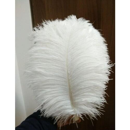 Wholesale 50 pc high quality white ostrich feather 12-14inches / 30-35CM diy decorative vases / Accessories / Apparel