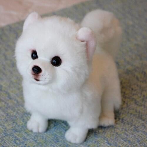 Plush Pomeranian Dog Doll Simulation Dog Stuffed Animal Toys Super Realistic Dog Toy For Pet Doll Plush toy Birthday kids Gift