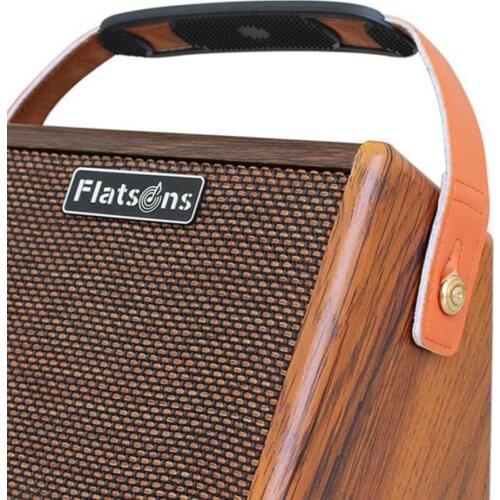 Portable 15W Acoustic Guitar Amplifier BT Speaker with Microphone Interface