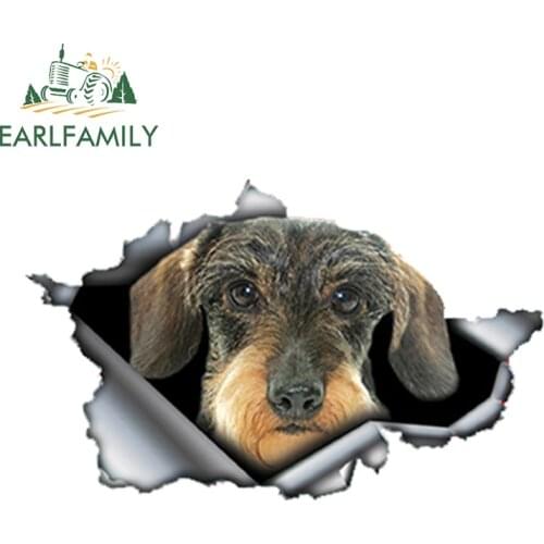 EARLFAMILY 13cm x 8cm Wire Haired Dachshund Car Sticker Torn Metal Decal Reflective Stickers Waterproof Car Styling Accessories