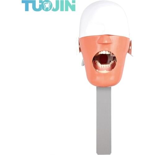 Dental Simulation Implant Head Model Root Canal Orthodontic Product For Students Training Apparatus Teeth Tooth model