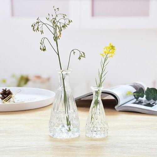 Classic Transparent Small Glass Vase Nordic Decoration Home Garden Living Room Dried Flower Vases Tabletop Bottles