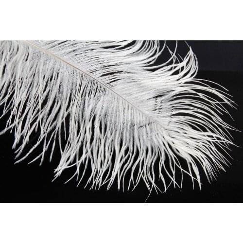 Ostrich Feather White festival children190823213